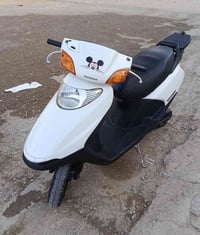 سبيسي • ياباني • مكفوله