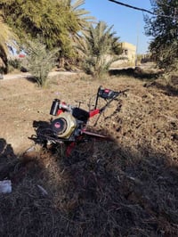 تحرث الأرض • بامية وخضرة • الرميثه