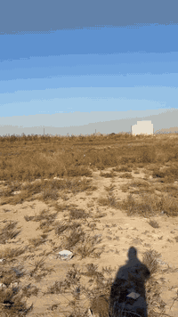 قطعة ارض بسعر مناسب جدا .. العنوان بغداد ..  المكاسب /شارع الزعيم  الم...