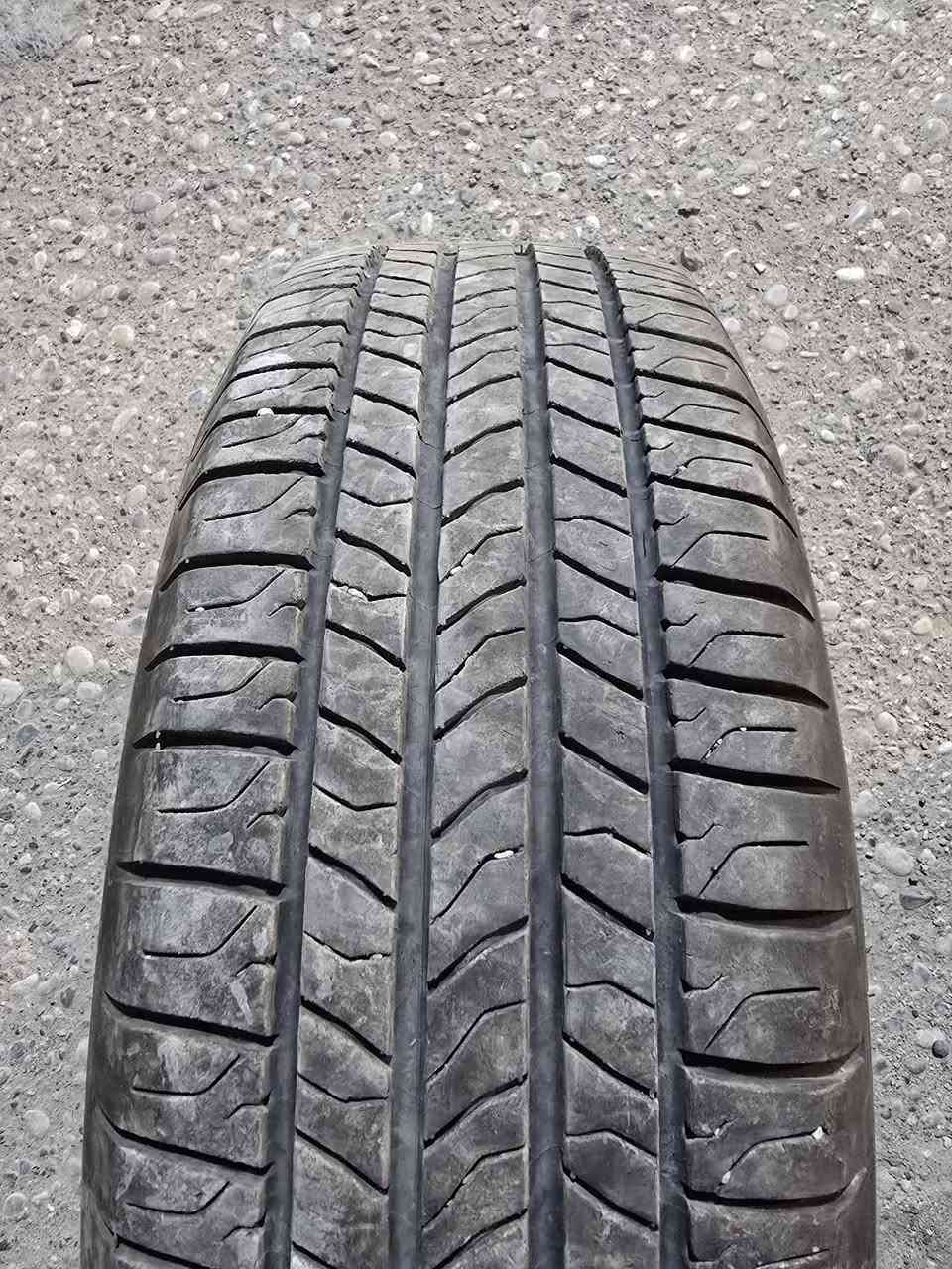 تخم ويل 17 مع تخم تاير مشلن انتاج 22 الويل مكفول من الفطر لحيم عواج السعر 300 الف قفل ***********
