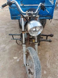 ستوته • شغاله • ضفيره