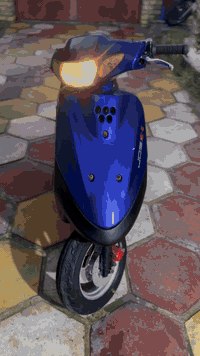 دراجة منغولي • كملة • ناصرية مركز