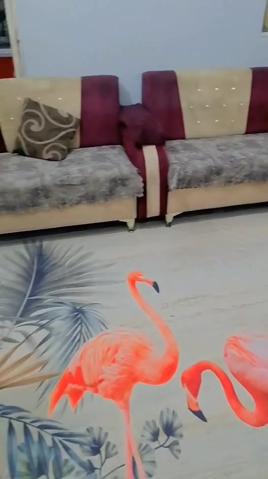 تخم للبيع السعر ٢٠٠


**إذا كنت صاحب هذا الإعلان وتريد حذفه لأي سبب، رجاءا أرسل رسالة إلى الدعم الفني**