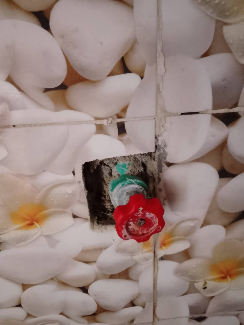 شاومي 15 تي برو
نضافه%
ذاكره واحد تيره
ملحقات كامله
ويا كفرين تواصل واتساب
***********
