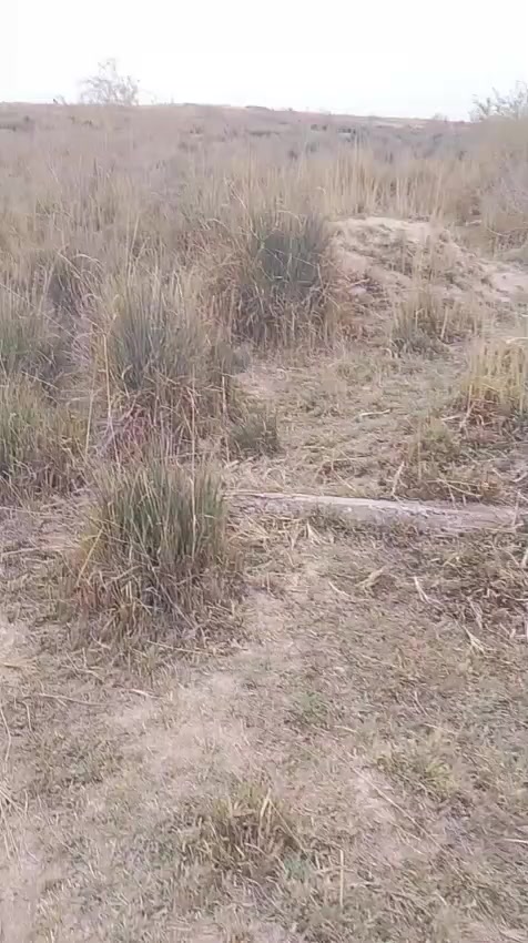 السلام عليكم عندي  7دوانم منطقه الهارونيه للبيع للاستفسار
***********
