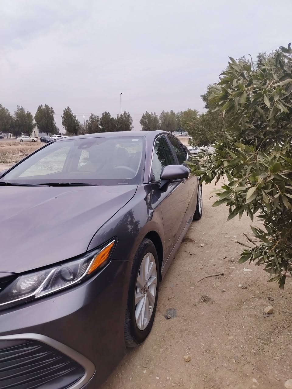 السلام عليكم تيوتا كامري وارد امريكي موديل 2021مكفوله من ضربه وصبغ كفاله عامه كير ومكينه خير من الله معوقين موصفاتLe رقم بغداد السياره كلش جديده احله من الصور السعر 160 وبيهه مجال الاتصال ع الرقم ***********
***********
