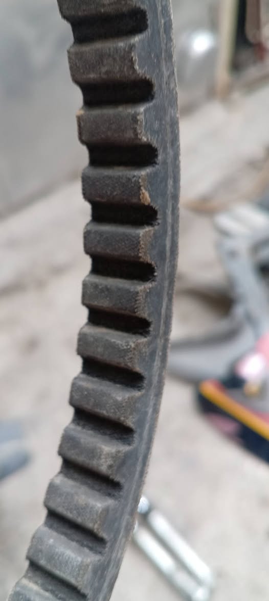 حواضن ماكس  منغولي كاملات جيب وكعد  فول ملاح ولحيه عدله وحاضن دشبول عدله وبجم منغولي وراس لاست منغولي ودشبول منغولي ودبلات منغولي قجمه يشتغلن لا نضوح ولا طسه والدبلات قايش بلادي 

ملاحضه

اسعار مناسبه راسلني ما اقصر وياك وبالخدمه مكاني بغداد حبيبيه ماعندي توصيل واتساب فقط ***********
