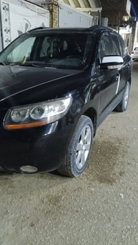 سنتافي • ٢٠١٠ • ٧ راكب