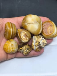 بند سليماني • ٧ قطع • حلوات