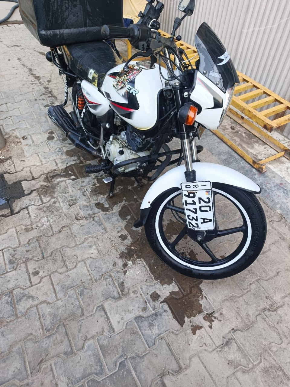 سلام عليكم بوكسر كلاسك مديل ٢٢شهر١٢بسمي مشروع وطني تحويل شوكت ما تريد شرط الكفاله مكان بغداد دراحه خير من الله لا تنقيص ولا تبخير وفاله عامه من كلشي هاي شوفت عينك السعر 2وميتين وبيه مجال للشراي رقمي ***********

