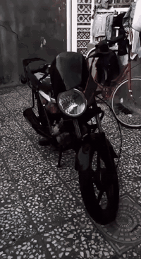 بوكسر 2022 • مكفوله • تبخير