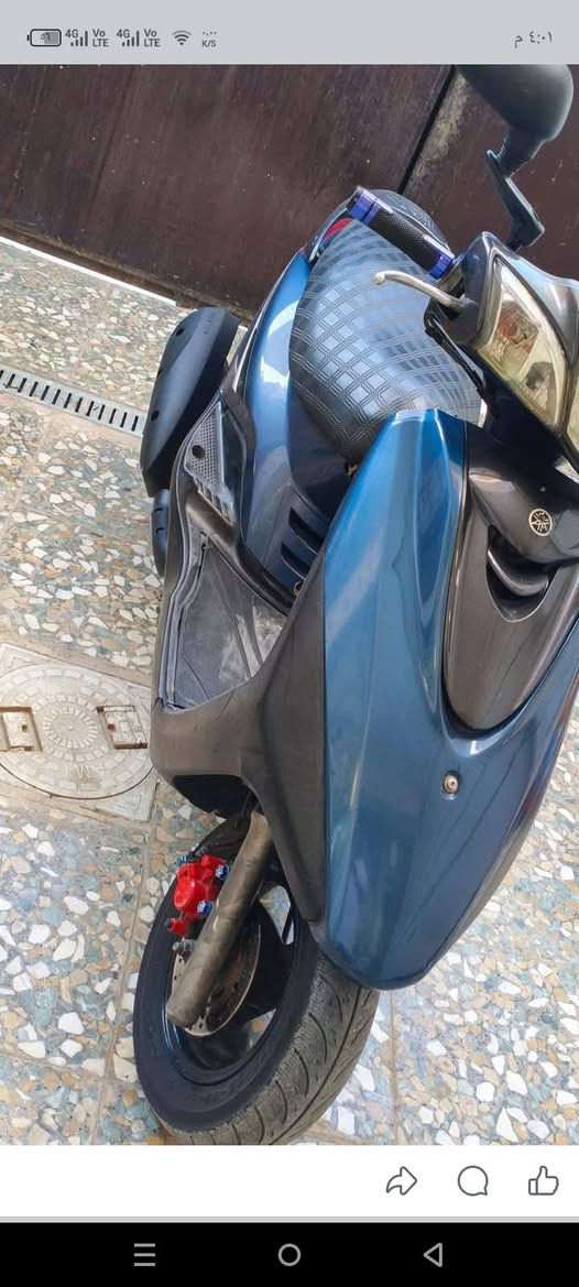 دراجه بلاديه بغبغا للبيع السعر خاص ***********
