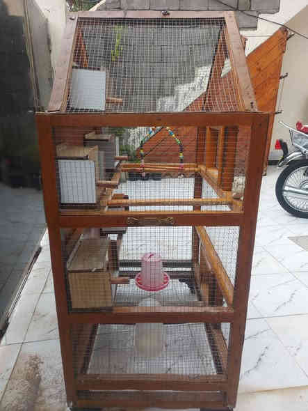 السلام عليكم 
متاح قفص لببيع  كامل 5 بيوت اومنهل ماء منهل اكل مرجوحه شغل توصى سيم خشب  جرار اسفل القفص للتنظيف عرض متر  ارتفاع متر ونص  سعر ١٠٠ وبي مجال بعقوبه ***********
