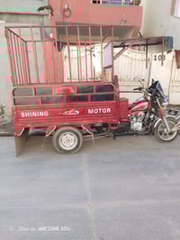 ستوته • ٢٠٢٠ • بدون محجل