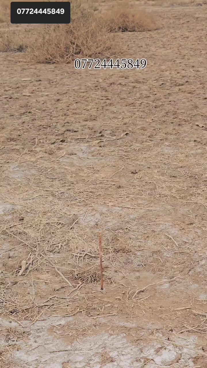 قطعة أرض للبيع في الكوت - منطقة الأرامل
​المساحة: 200 متر.
​ قريبة جداً من البناء والخدمات.
​للتواصل والاستفسار:
📞 ***********
