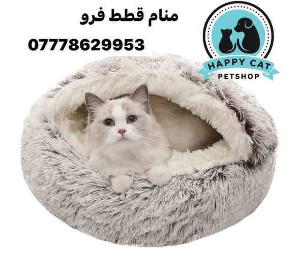 متابعينا الاعزاء🩵🩵متوفر منامات قطط وحقائب نقل قطط باشكال مميزه 📌للطلب والاستفسار 📞يرجى مراسلة الصفحه او التواصل واتساب‭0777 862 9953‬
توجد لدينا خدمة توصيل🚕🚕 لجميع محافظات العراق 🇮🇶
