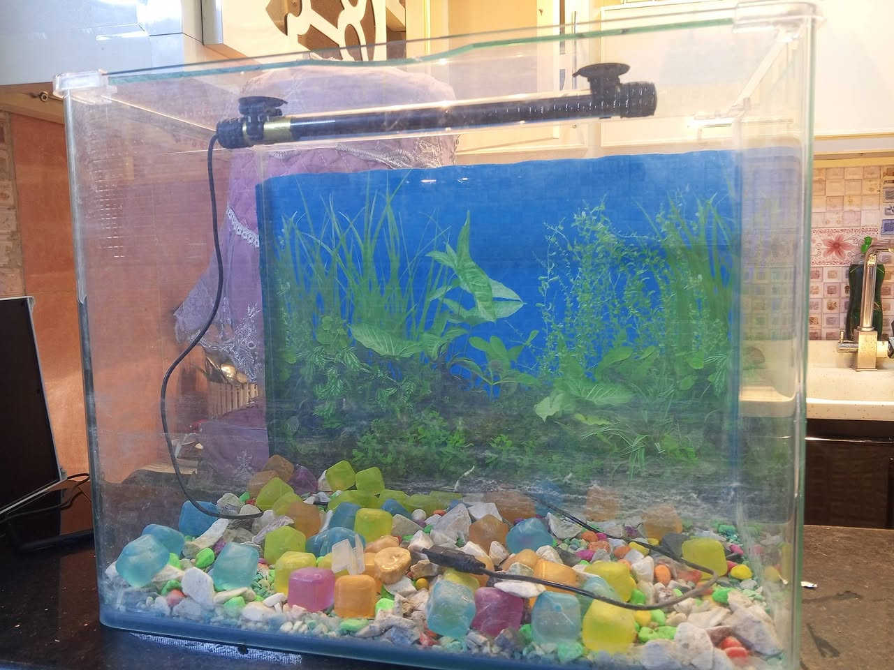 حوض سمك كامل من كلشي سعره 25 الف مكاني بل الحبيبيه رقم الموبايل ***********
