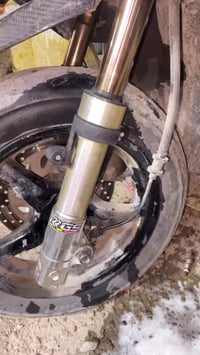 صدر RGS • تفصيخ يابانية • ذهبي مرتب