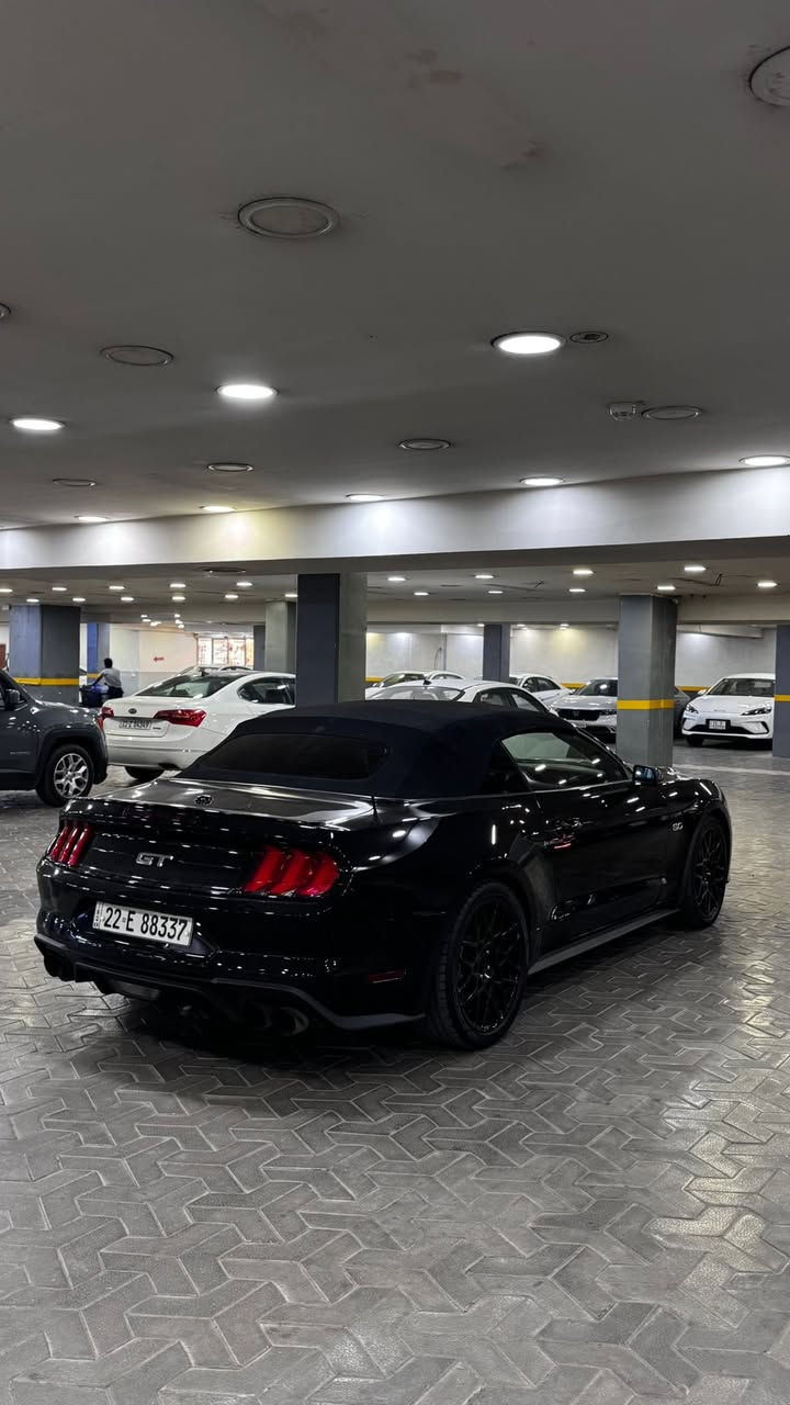 2021 gt فورد موستانك
فول  مواصفات1/1  للاخير   دجتال  داخل جلد   اكتف   ترحيب  شكو مواصفات بالموستنك موجودة بيها  كلش  قطعة واحد صبغ  فقط بدوون ايرباك السيارة 
   (نص جاملغ خلفي  الصبغ )
ماشية 30 الف  ميل فقط . ‎السياره كلها بلادية
عليها  هوائيات  وبرمجة وكلش قوية معروفة بنظافتها  .
وبيها كواتم اكتف  تطفي من يمك الصوت .
حادثها موضح بالصور  كفالة عامة بدون لغد بدون شاصي   بجم  كبس  علما  ان الباب  راجعة وكالة نفس اللون    بدون صبغ  فقط الجاملغ  خلفي نصة مصبوغ   فقط ،،بدون دواخل ومحرك وتبريد وصدر  مكفولات وجديدات  رقمها اربيل  هزة  جديدة وسنوية   تحويل مباشر مني  ورقم   جديد لل2030  سعرها 
210  ورقة وبيها مجال بسيط   نزلت  سعرها   مراعاة  للسوك  والوضع   والسيارة نظيفة و متعوب عليها  متتقارن بالمهجومات 🖤

*********** سجاد الخفاجي  مكاني زيونة او يرموك
