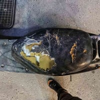 درجة عصفوريه البيع سعر ٢٠٠ وبيها مجال مكاني بغداد كاظميه أي ستفسار هاذ...