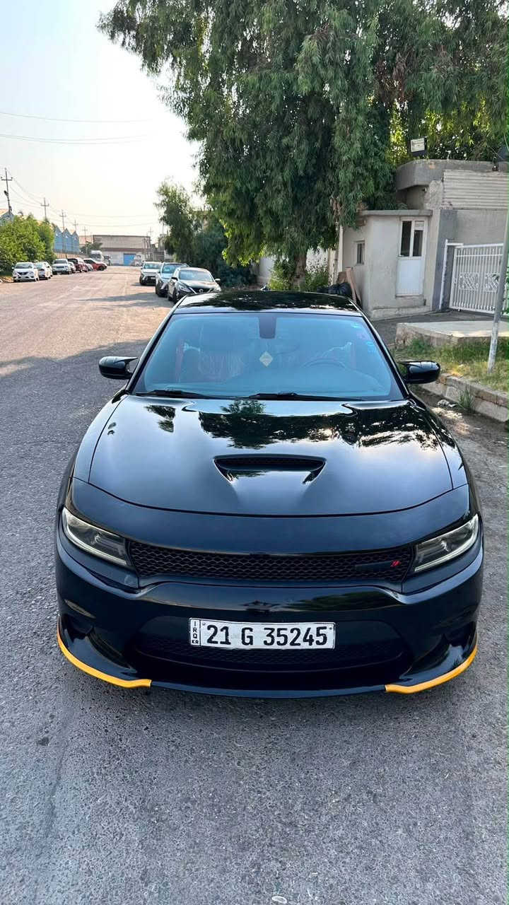 بدون سبوخ شوية بارض و اكو تلقة في امريكا
*********** أربيل, العراق
