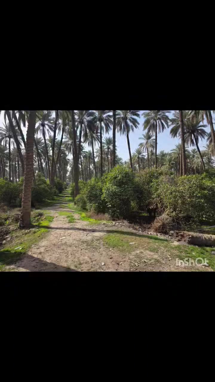 السلام عليكم ورحمة الله  وبركاته ويااهلا وسهلا .. 🤝🌹

فرصه استثماريه جميله جدا جدا جدا للبيع أرض زراعيه  ملك صرف صرف 

اللهم بارك المساحه 18دونم ،، 
واجهه 75م  ،،  نزال 575م  ركن ،،

 مكان كلش حلو  صايره ع شارعين 👌
الرئيسي مباشر، والمحاذي مع المعسكر 🌺

وممكن تقطيعها وترتيبها بشطارتك شلون تحب تستثمرها  مجمعات سكنيه اي شي بالك 🙂👍

 العنوان بغداد شاطئ التاجي مزرفه وحصيوه قرب  معسكر التاجي.. 

معكم اخوكم أحمد أبو مصطفى 
للاستفسار الاتصال على الارقام الاتيه

📞📞: واتساب 
كورك: ***********
اسيا: ***********

مكتب ديرتنا للعقار 🏢
واهلا وسهلا بالجميع 🤝
