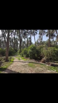 وبركاته ويااهلا وسهلا .. 🤝🌹  فرصه استثماريه جميله جدا جدا جدا للبيع أر...