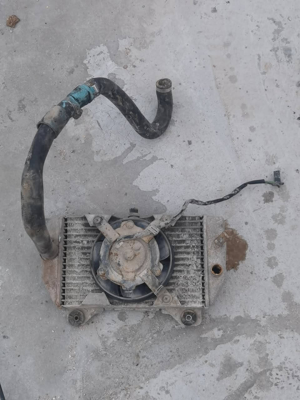 تفصيخ 0 8
يا قطعه تفيدك راسلني


**إذا كنت صاحب هذا الإعلان وتريد حذفه لأي سبب، رجاءا أرسل رسالة إلى الدعم الفني**