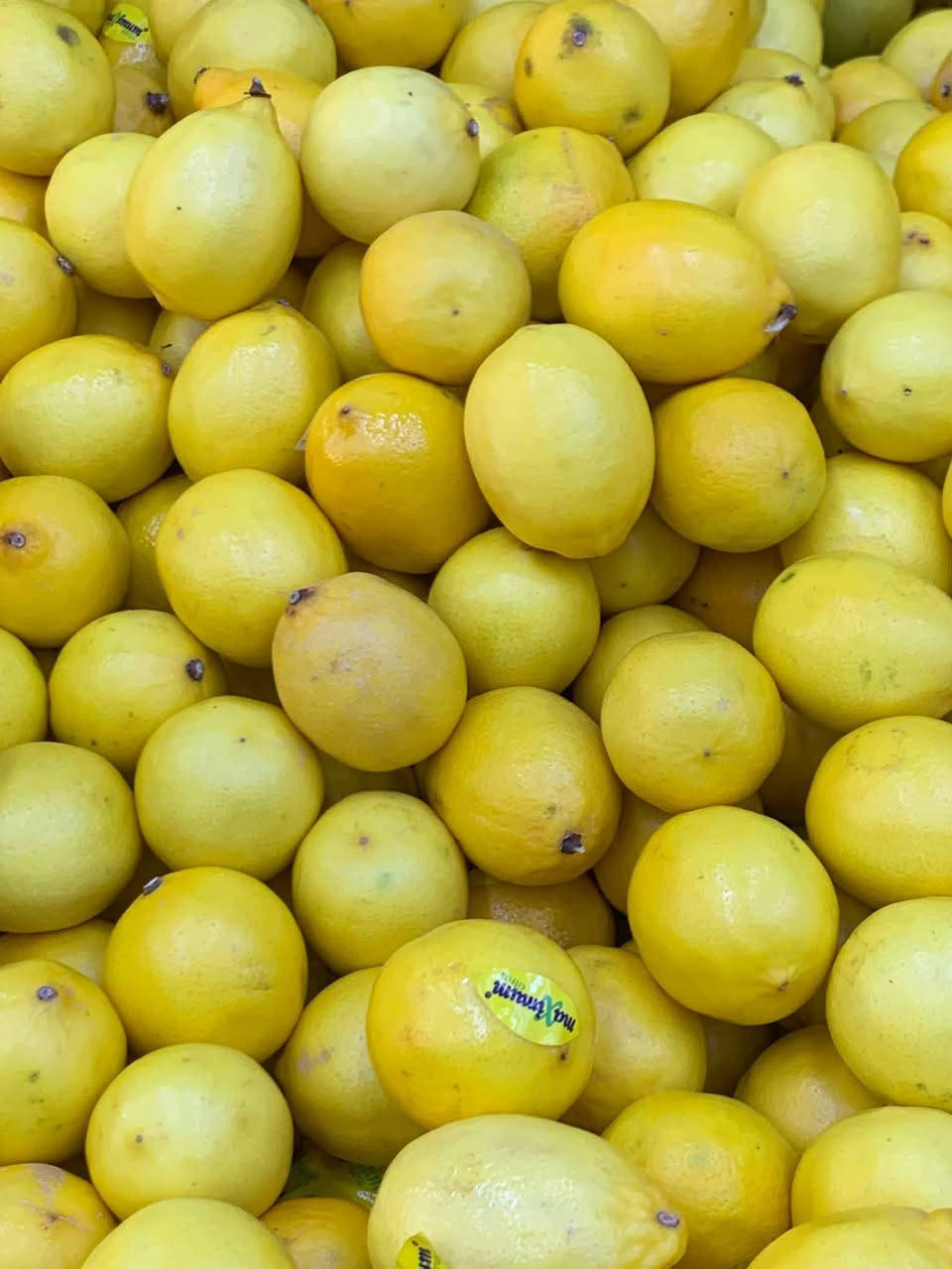 سلام عليكم مسواك اليوم شرط النظافة وتازة ودرجة أولى خابرني اجيك يم الباب 

***********
