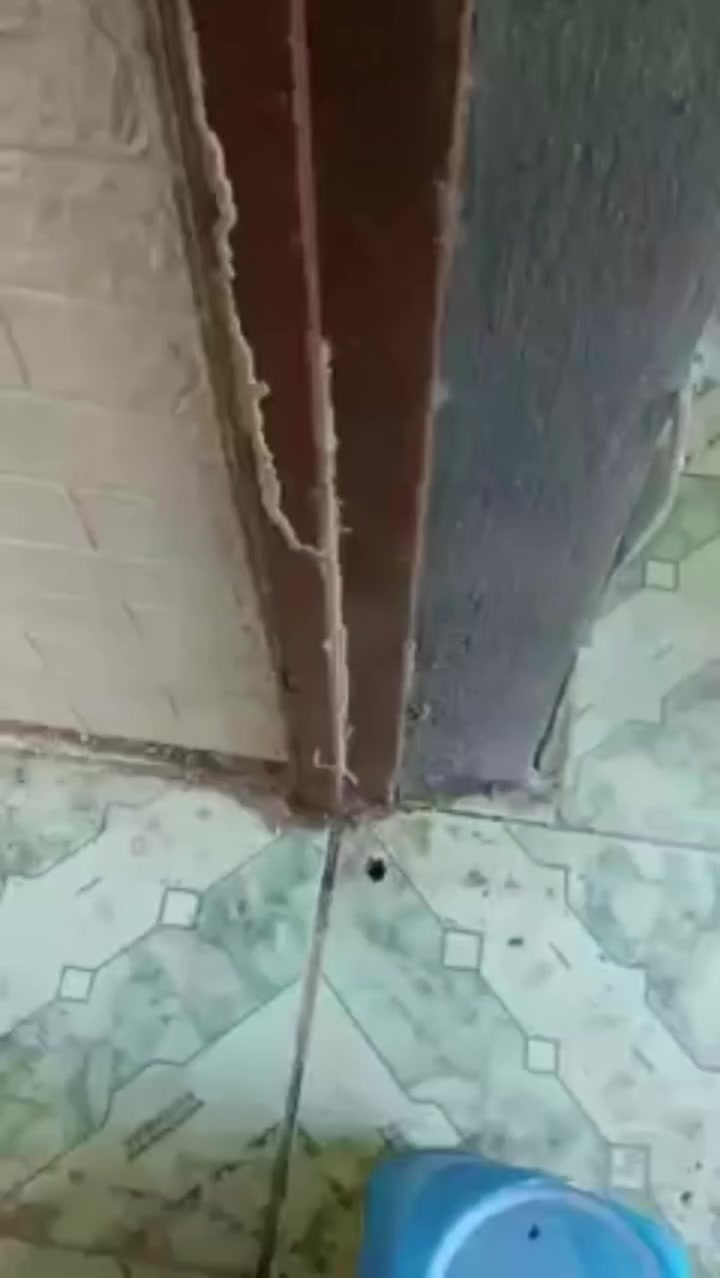 يوفر لكم ( مكتب الوسام المختص بكشف ومكافحه حشرة الارضه والقوارض بجهاز السونار) كوادر متخصصه لمكافحة حشرة الارضة .
💎كشف دقيق وموقعي. 
💎استخدام افضل انواع المبيدات المرخصة من قبل وزارةالصحة بدون رائحة وغير سامة  حيث ليس هناك الحاجة لاخلاء الموقع من سكانه .
💎ضمان خمس سنوات 
نقدم لكم الحل الأمثل لمشكلة الأرضة والنمل الأبيض، حيث نوفر جميع مبيدات فايروسيه الفعالة ونسعى لخدمة العملاء على أكمل وجه، وتقدم الشركة خدماتها في أسرع وقت وتمتلك حلول فعالة وعصرية وغير تقليدية، يتم رش المبيدات فايروسيه حسب مساحة المكان، كما يوجد خدمات خاصة للمنشآت الهامة مثل المستشفيات والبنوك والمساجد ودوائر الدوله الشركات الاهليه
💎لاتستخدم الكلوردين او النفط للمعالجة
لدينا مواد صديقة للبيئة تستخدم لمكافحة الارضة وليس فيها ضرر على الصحة العامة
تعمل كوادرنا في جميع محافظات العراق
وعلى مدار 24 
***********
***********
او مراسلة الصفحة

 مكتب الوسام  ومكافحة حشرة الارضة والقوارض بجهاز السونار
