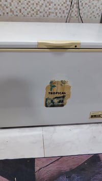 مجمدة • النجف • مجمعات