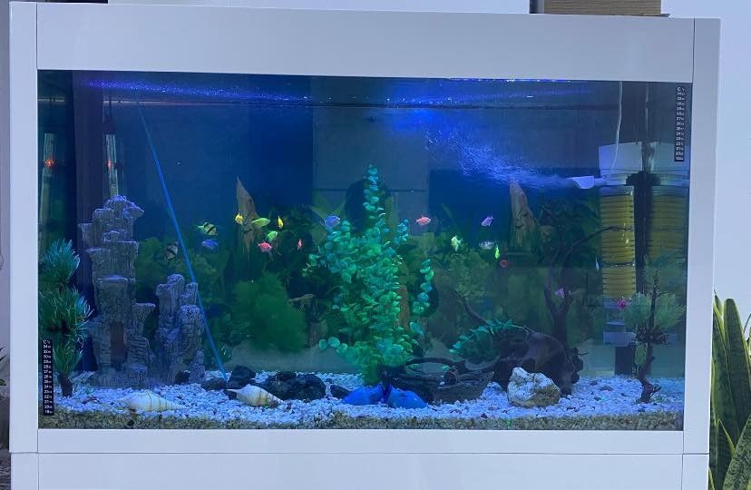 ئه‌م حه‌وزه‌ بۆ فرۆشتن
قیاسی  ١٥٠ * ١٢٠ * ٤٥

به‌ كامل ئه‌شیاو و ماسیه‌وه‌

 ***********

***********
