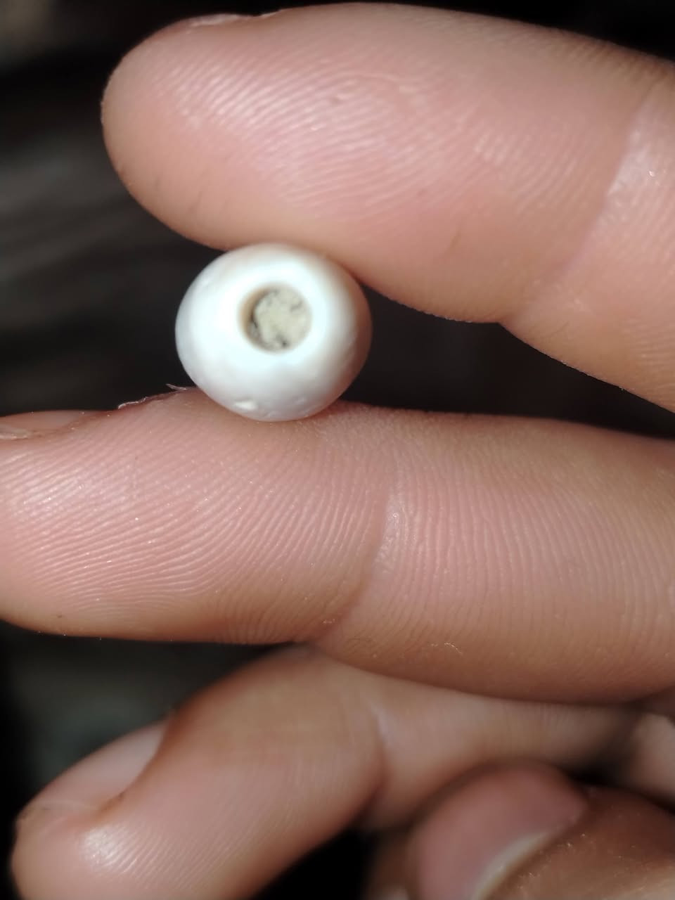 بعدها بترابها حلوة مثلكم


**إذا كنت صاحب هذا الإعلان وتريد حذفه لأي سبب، رجاءا أرسل رسالة إلى الدعم الفني**