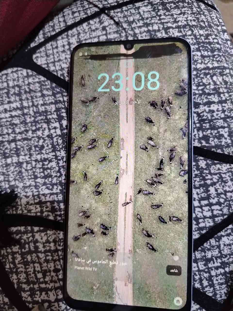 ريلمي نوت 50 ذاكرة 64 بي خط ليفوك ماماثر علي كلش


**إذا كنت صاحب هذا الإعلان وتريد حذفه لأي سبب، رجاءا أرسل رسالة إلى الدعم الفني**