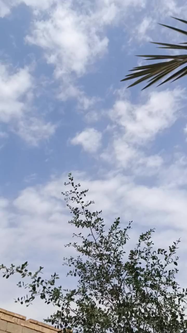 بوليسي للبيع أو امراوس
***********
كفاله عامه
