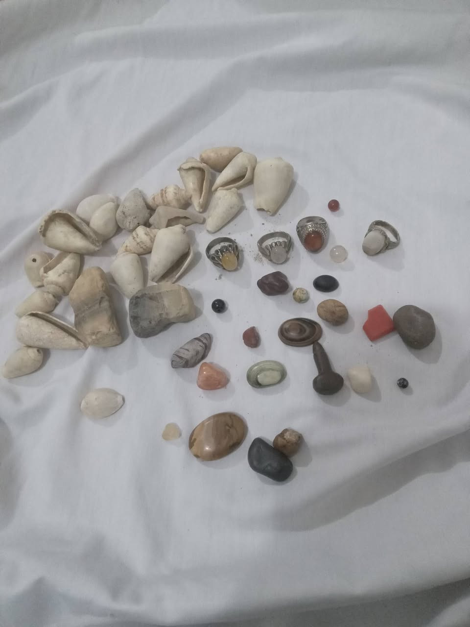 سلام عليكم عدي ذني لبيع بيهن سلطان وسليماني وهبهاب وعقيق وجزع ومرجان والبقيه ما اعرفهن ابيع شلعه واحد السعر 30 وبيهن مجال أو مراوس مكاني بالبصره بالزبير (***********)واتساب
