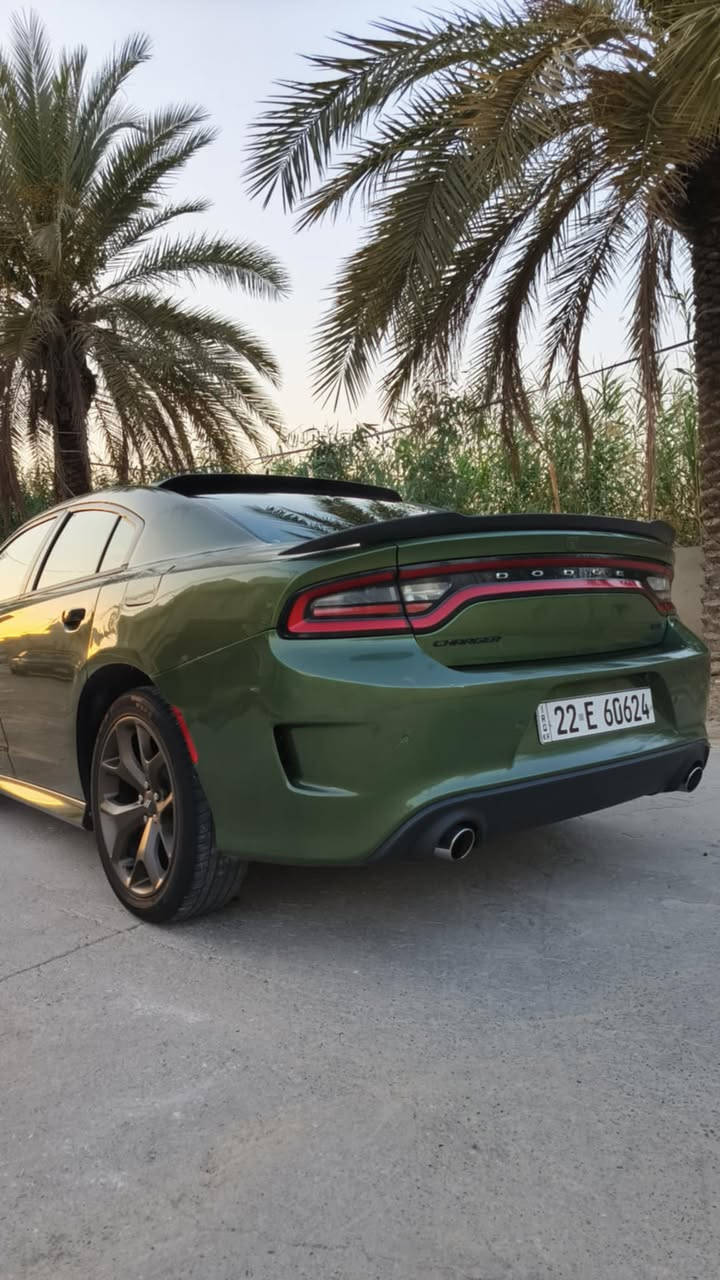 السلام عليكم اخوان جارجر للبيع موديل ١٩جيتي رقم اربيل بيها جاملغ خلفي كلير فقط والباقي كفاله دينار متصرف عليها مكانها موصل سعرها (٢٣٠)قفل(***********) (***********)
