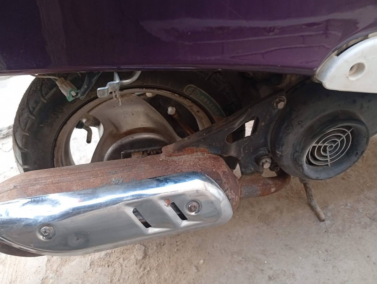 السلام عليكم مصريه للبيع السعر 300اوبيه مجال مكان ناصرية مركز الشراي رسل واتساب ***********
