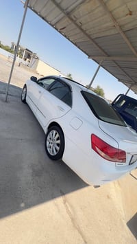 اريون • ٢٠٠٧ • نينوى ٢٩