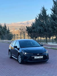 بيكاشو • ٢٠٢٣ • بدون دواخل