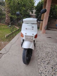 بيكم • نضيف