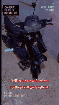 فراشه فحل • مكفولة • نجف