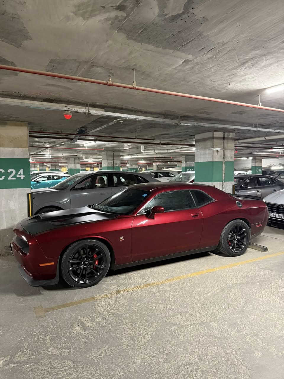 جالنجر سكات باك SRT
الموديل 2022 
مكينة 6.400 SRT
تفاصيل / سيارة جديدة على وضع الشركة 
مكينة وكير واكسل 

السيارة ماشية 22 الف 

اكزوز وحجر بيئة كله عل بلاد 

التفاصيل والمواصفات✅
اكسل قفل 
فجوج بريمبو 
شاشة جبيرة srt مع المودات
شفتات ال srt 
تدفئة كشنات 
تدفئة ستيرن 
تدفئة مري
كراسي كهرباء 
بصمة للسيارة عدد 2 من امريكا اصليات
دبلات صفر مال srt
سستم صوت alpine 
كراسي حضن 

الضرر ❌ جاملغ خلفي وجاملغ امامي وبنيد والباب بيها جوة اليدة شي كلش بسيط صبغ فقط جوة يدة الباب 
الضرر كله سطحي بدون قطرة دواخل  السيارة بجمها ممفتوح بس الدعامية يعني راديترات وغاز تبريد وكلشي يخص البجم ممفتوح على وضع الشركة

السعر 24,800

مكان السيارة بغداد 

***********
