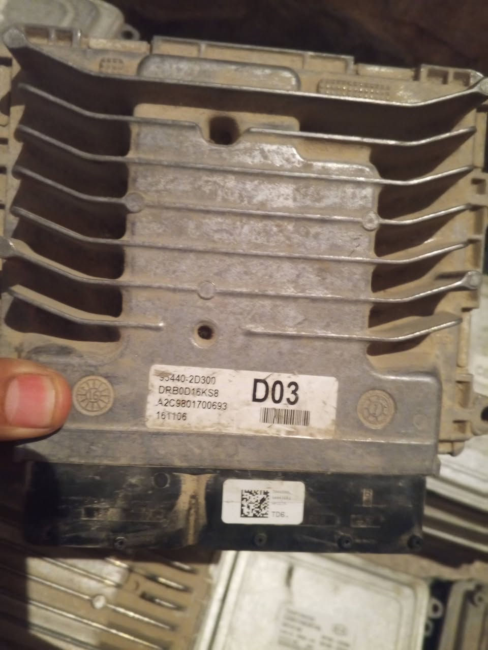 وصول كميه من عقول كوري 
للبيع جمله فقط 
الاتصال على الرقم التالي ***********
وات ساب........... ***********
ملاحظه يوجد الدينا خدمة توصيل كافه محافظات
