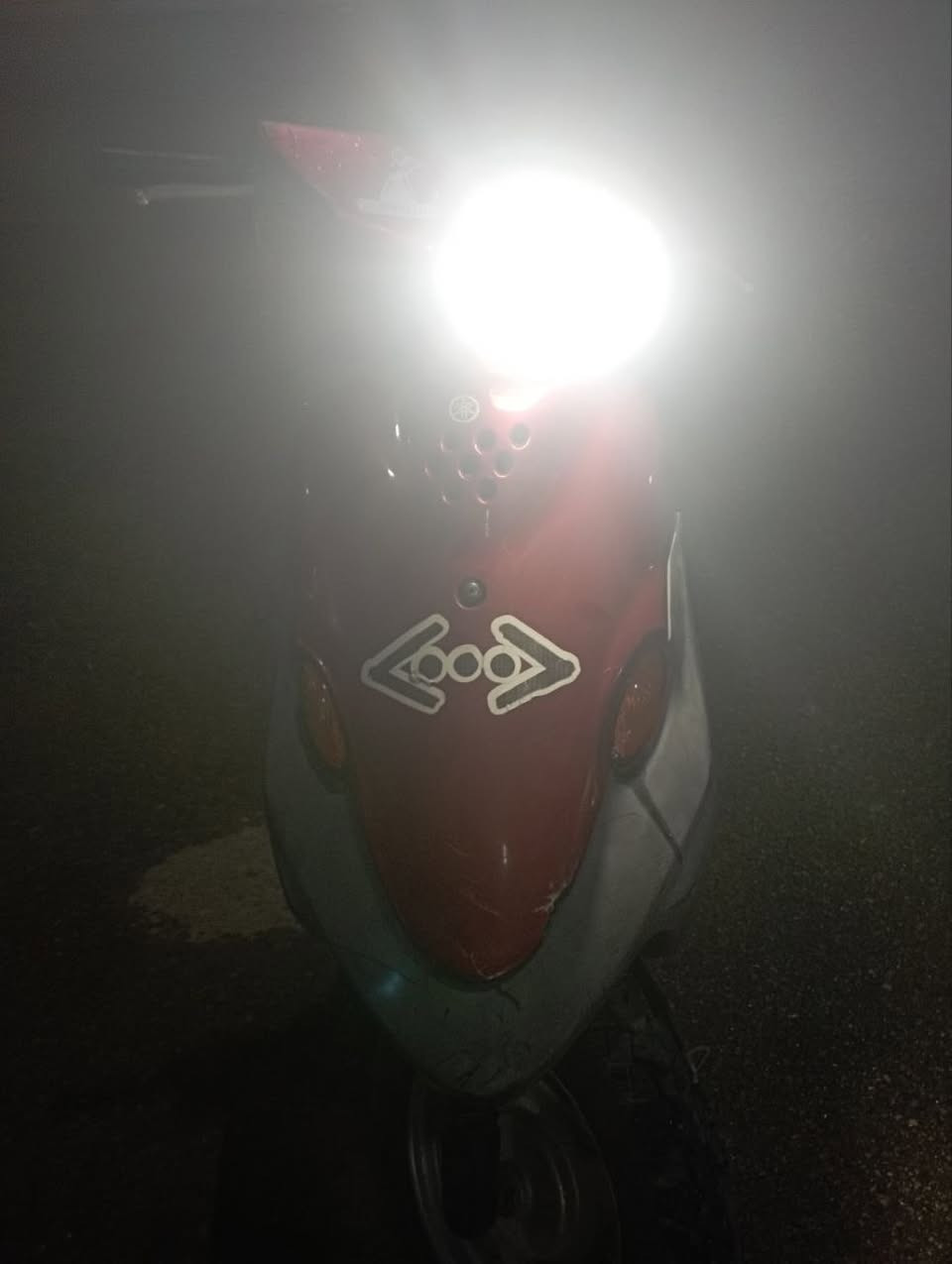 بيجي فحل ماروني للبيع مامفتوحة مستعجل عليها ***********
