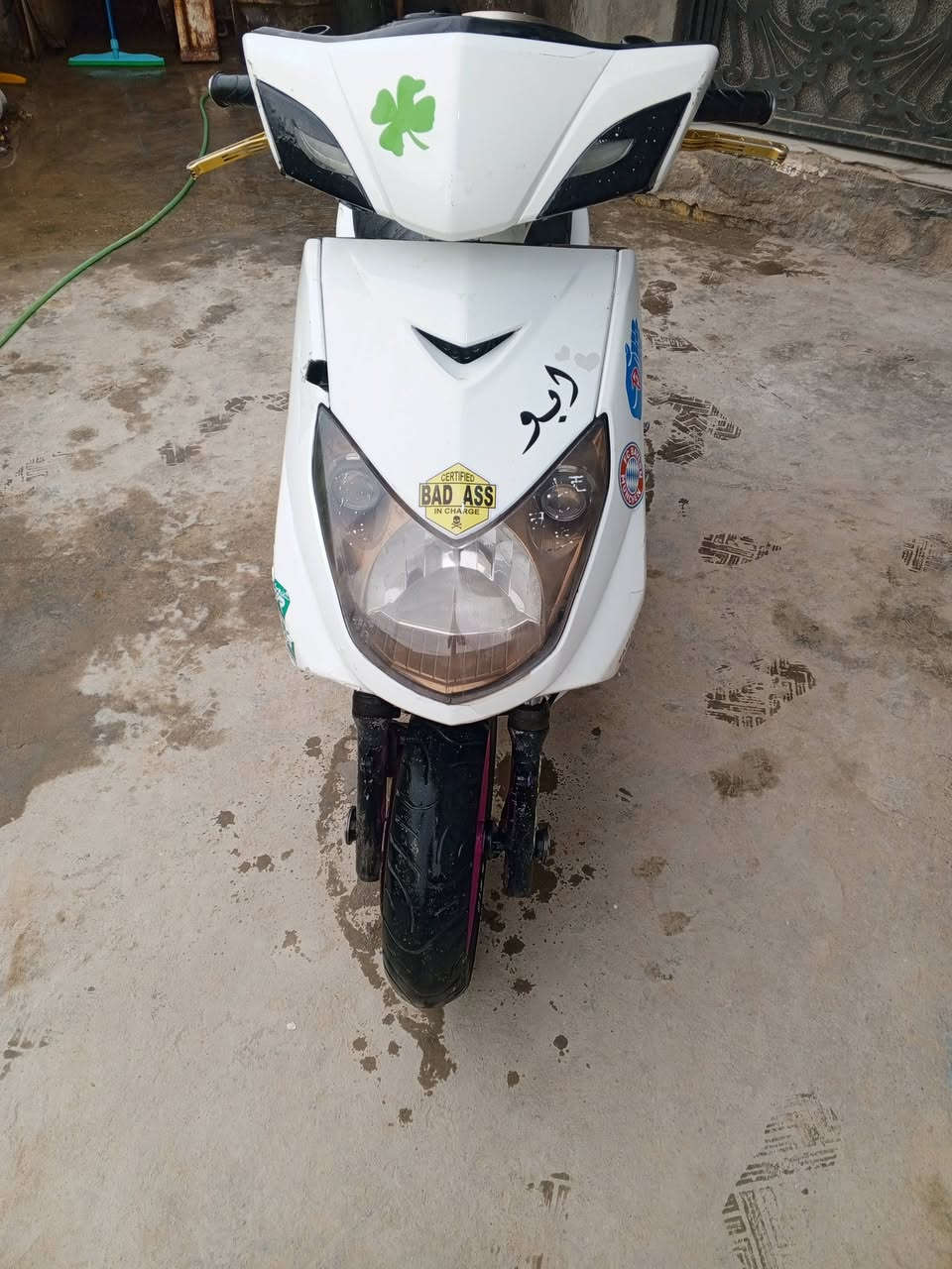 البيع تفصيخ شتريد موجود  توصيل موجود


**إذا كنت صاحب هذا الإعلان وتريد حذفه لأي سبب، رجاءا أرسل رسالة إلى الدعم الفني**