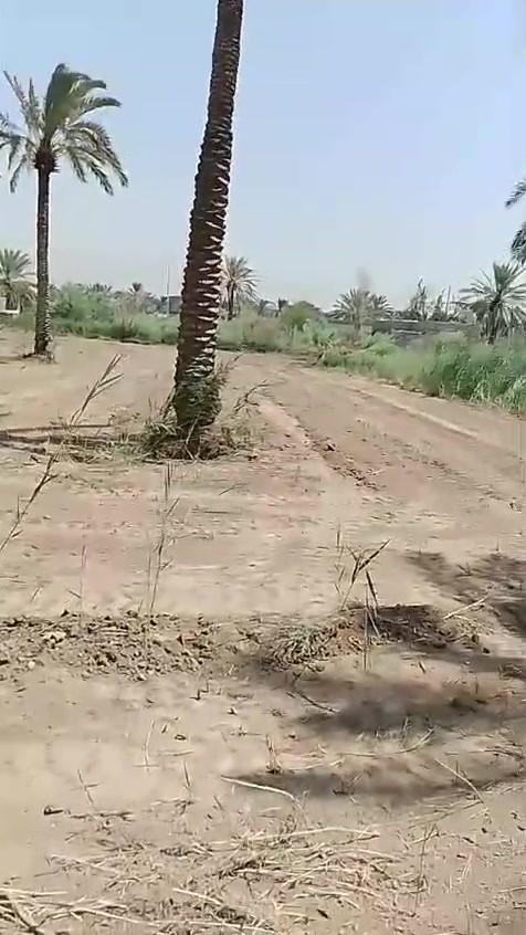 دونم طابو صرف بقضاء الصويرة للبيع الاتصال بالرقم***********
