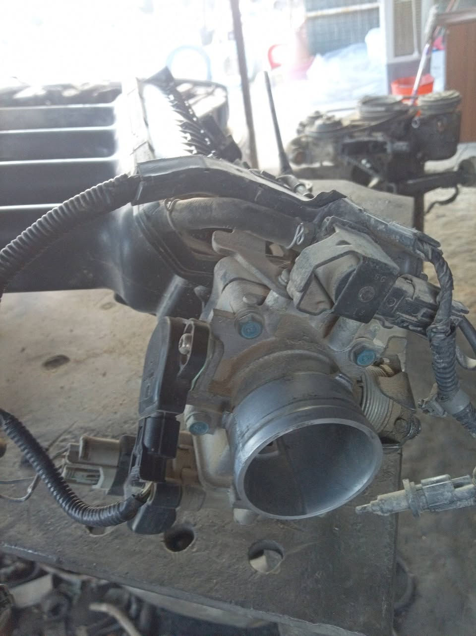 للبيع دكشن بارد بي وايدي مع الجويتر مامشدود حاويه المكان كربلاء ***********
