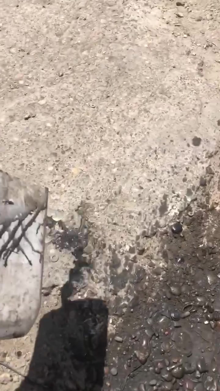 سلام عليكم دوج كرفان موديل ٢٠٠٨ تبديل منضومه وغسل منضومه وتبديل كمبريسر وراديتر وبطل وشحن غاز فرنسي اصلي ابو علي التبريد ساحت عدن خلف معمل جلبي قرب عباس دوج ***********
