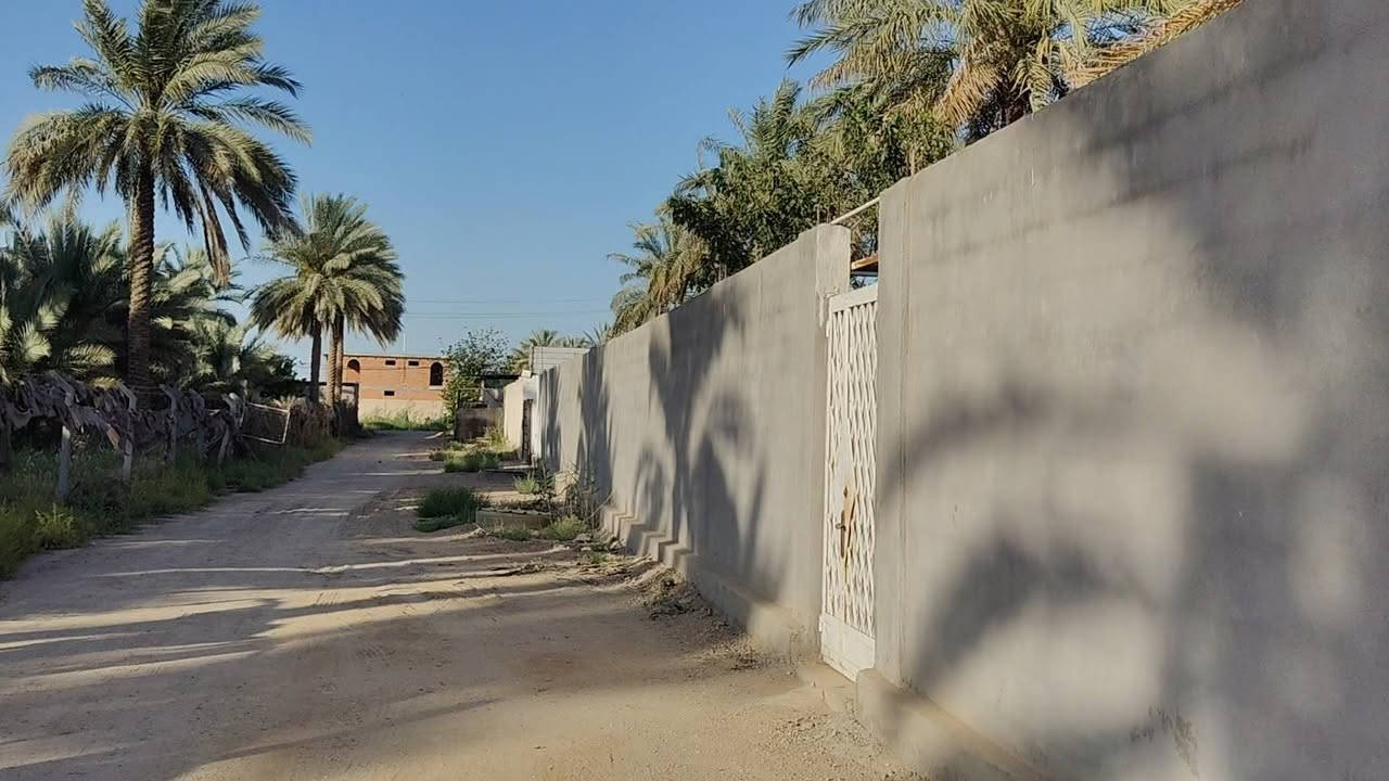 عرض مميز جدا وسعر ممتاز نصف دونم طابو زراعي سند 25 تحويل مباشر للمشتري وليس اقرار 
على شارعين عرض الشارع 8 متر والواجهه على كل شارع 22 متر الي ياخذه يكدر يقسمه نصين كل ربع دونم على شارع كافة الخدمات متوفره عن التبليط 75 متر وعن الشارع العام كيلو 
الموقع: شارع بغداد كربلاء سايد الخروج عمود 174 سعر 155 مع المجال للمشتري 
***********
